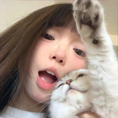 新东京猫猫